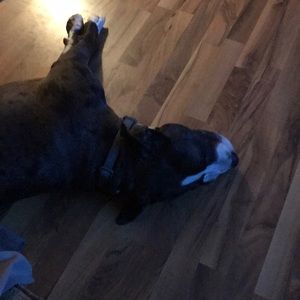 Meet your Posher, Becky